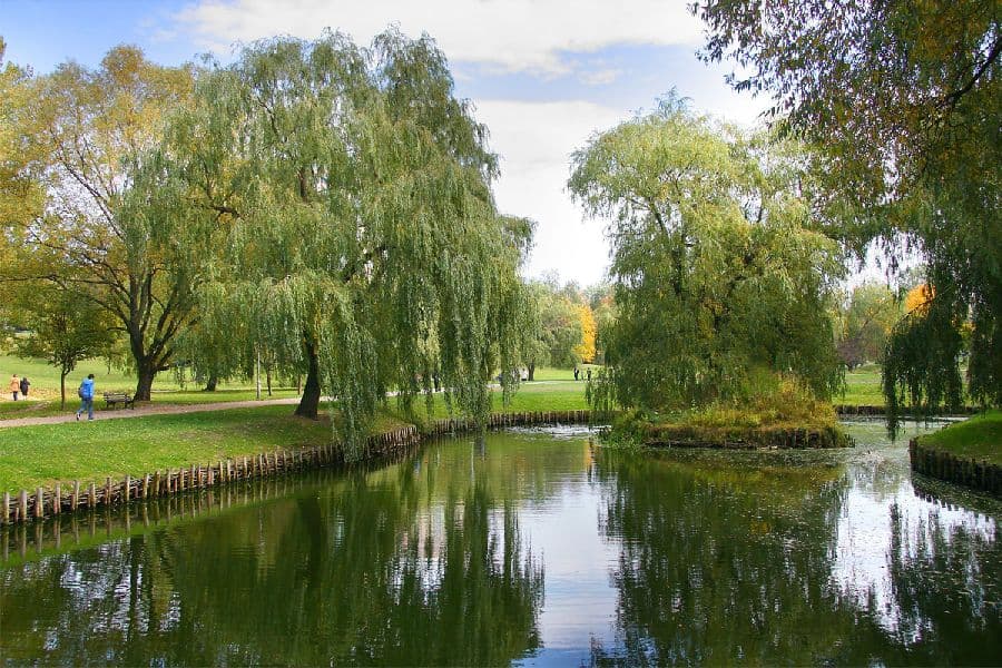 Kusociński Park - Image 1