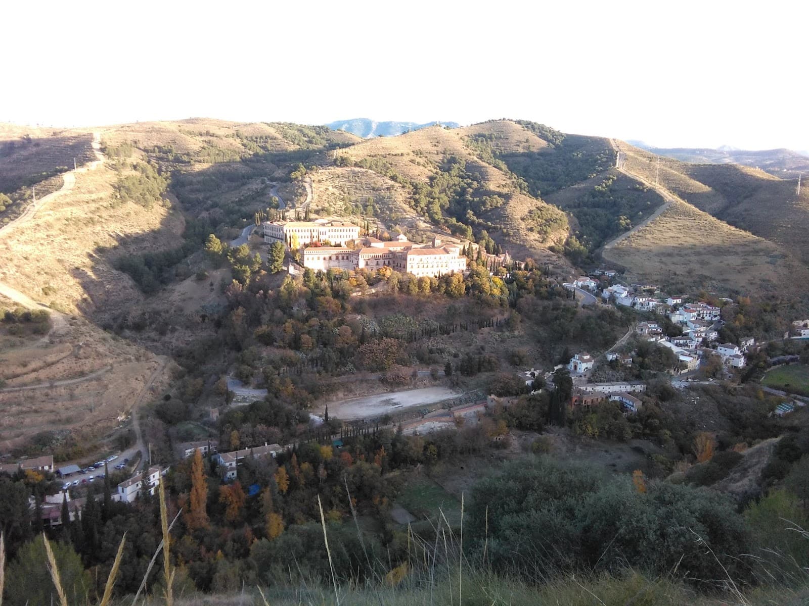 Alhambra Forest - Image 1