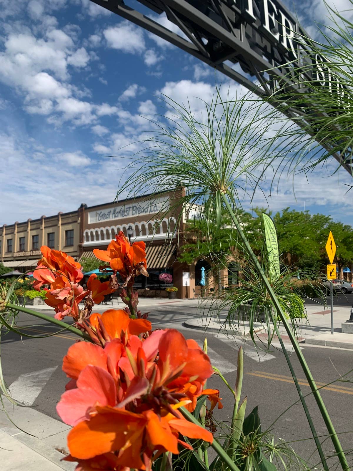 Seasonal Festivities