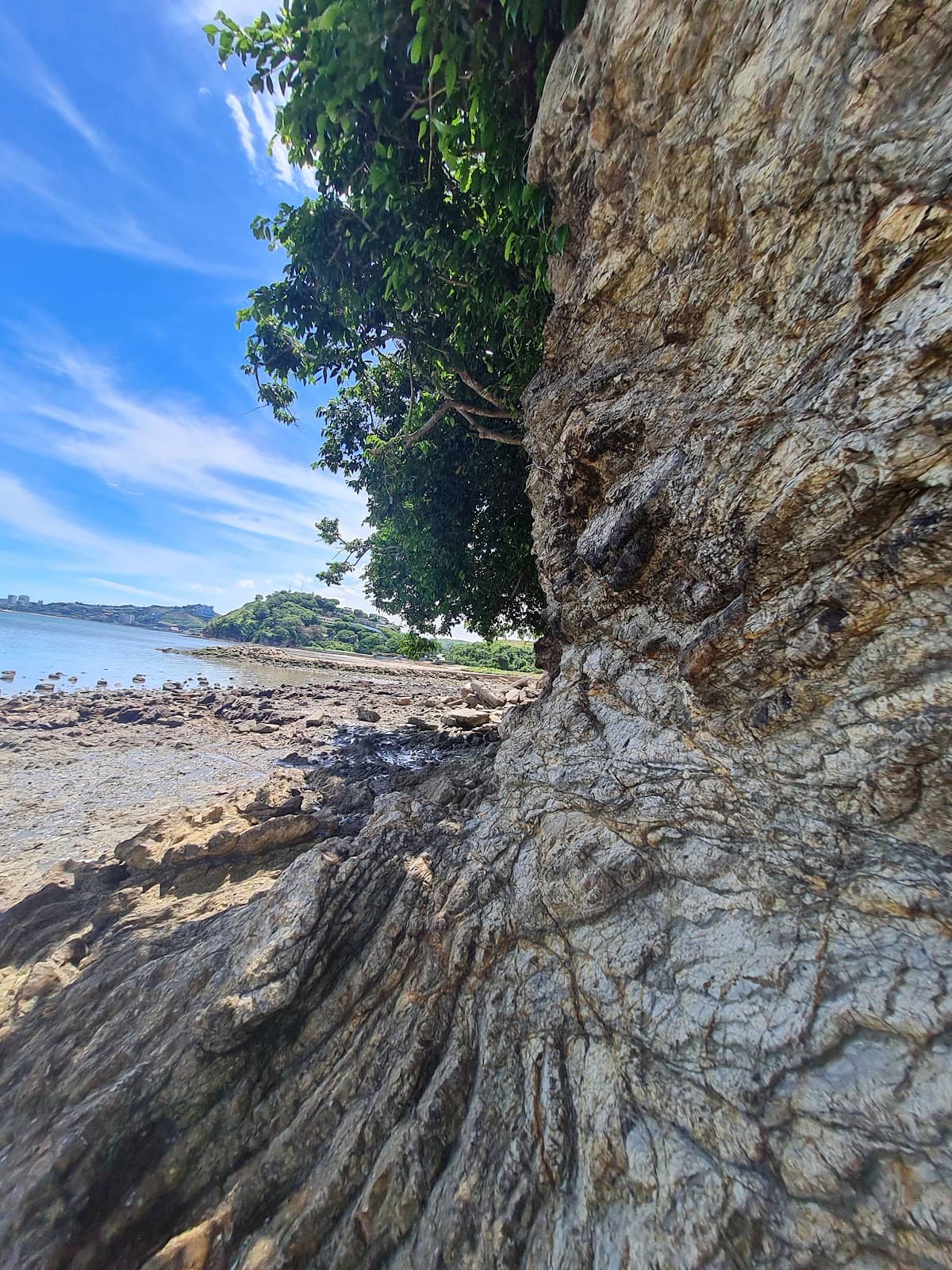 Vertical photo