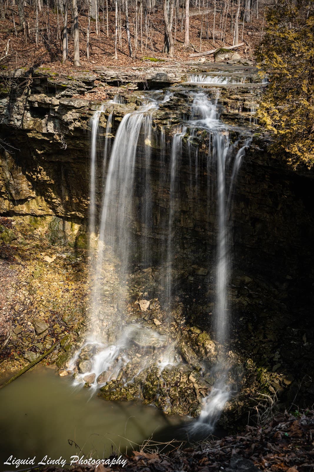Charleston Falls Preserve - Image 1