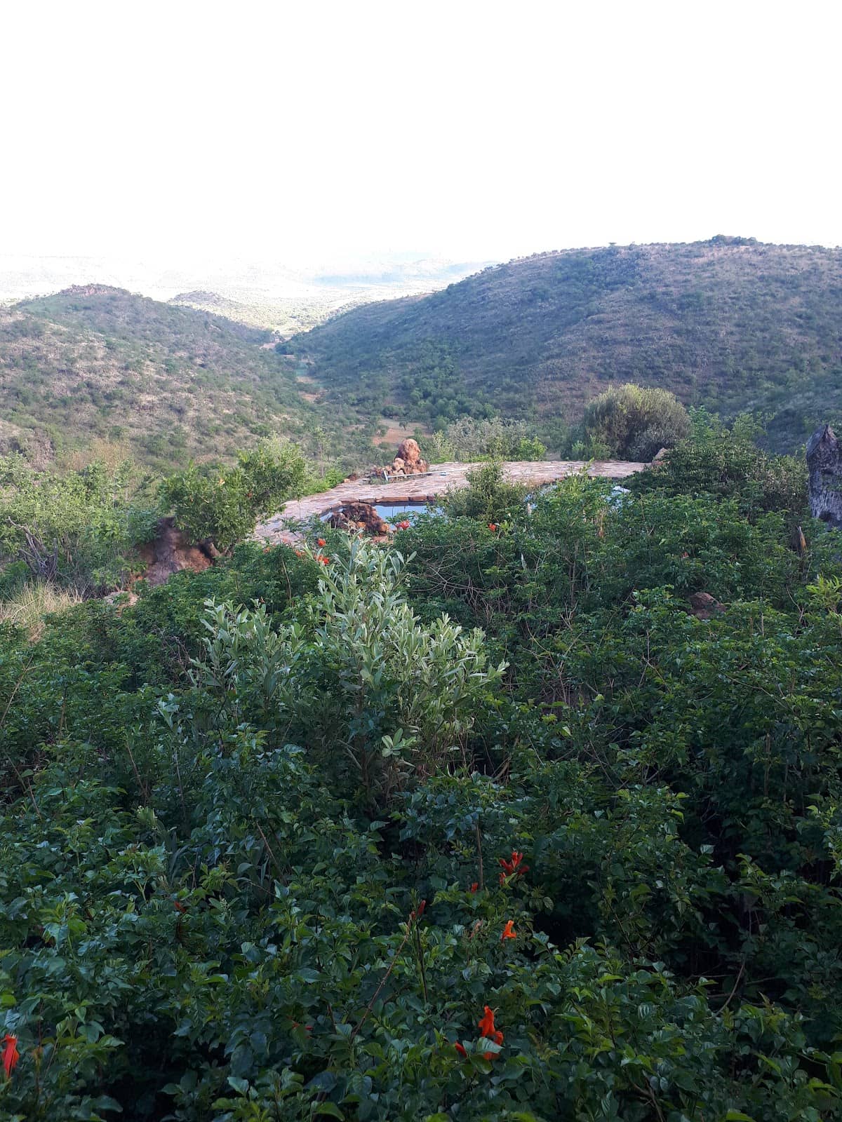 Amazwingzwing Ziplines