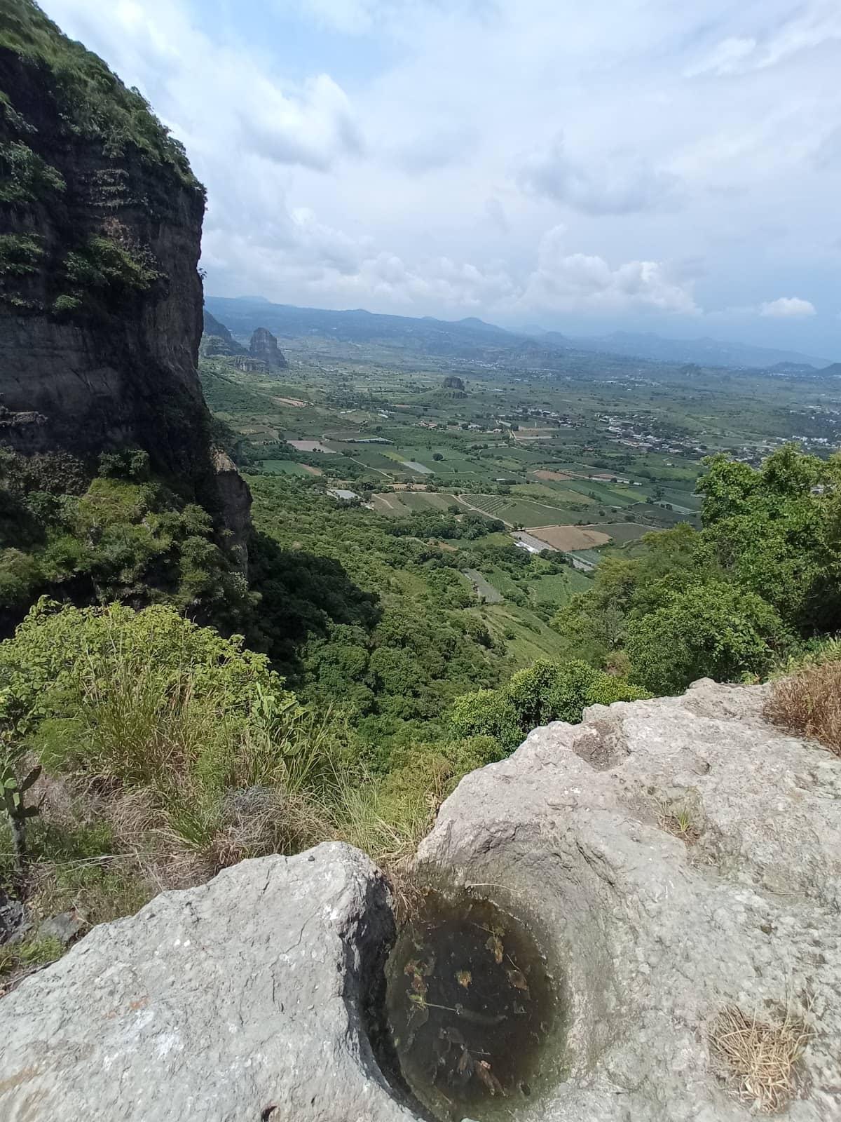 Vertical photo