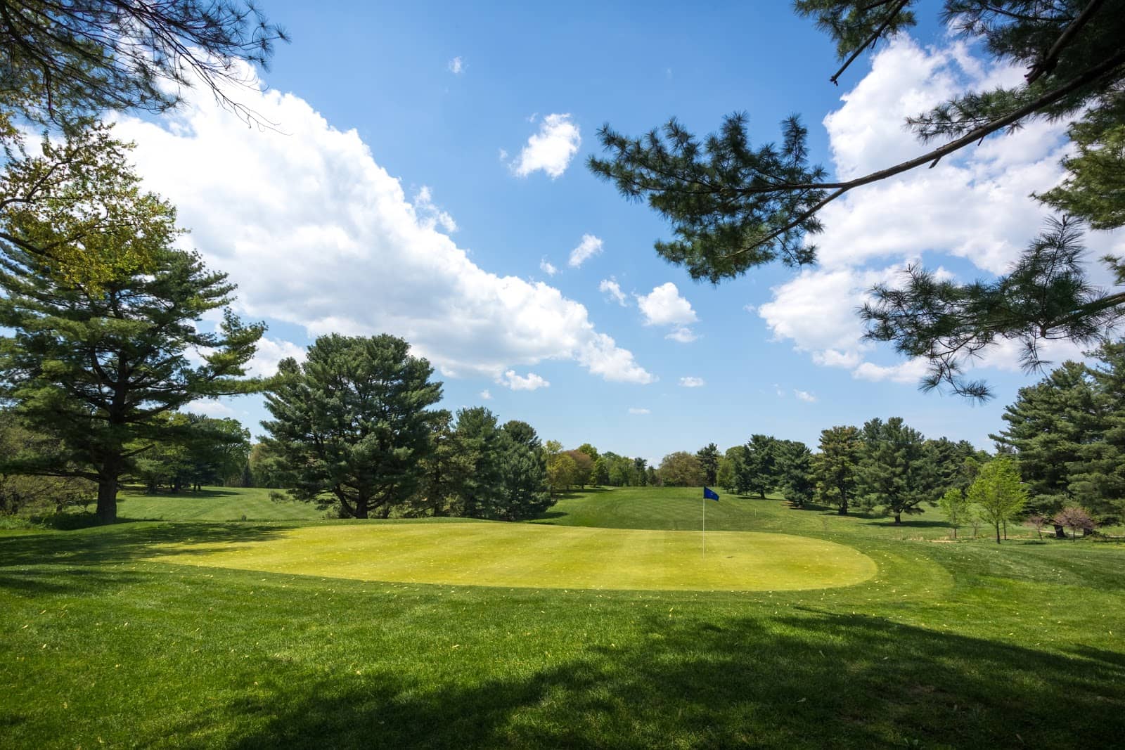 Friendly Fairways