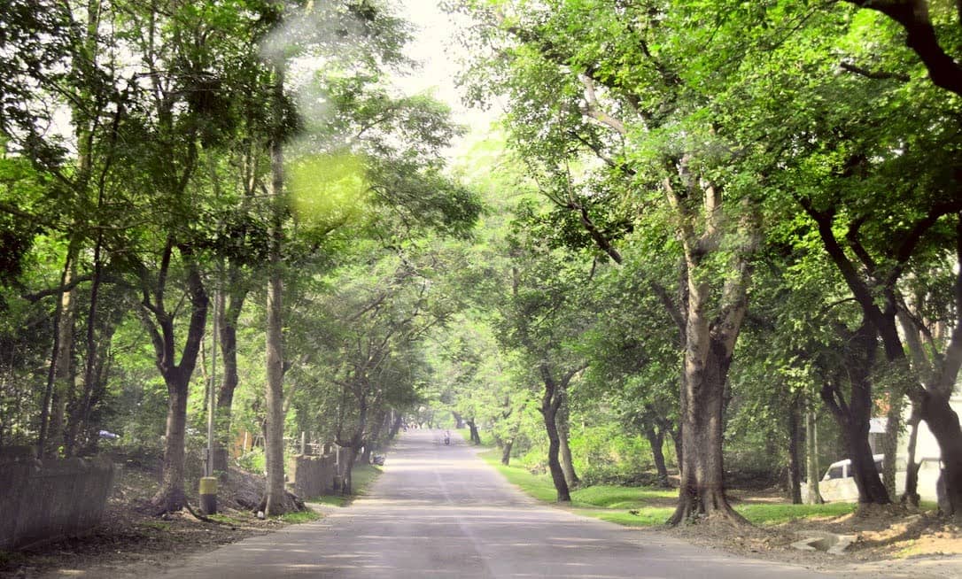 Jam@Street Food Festival