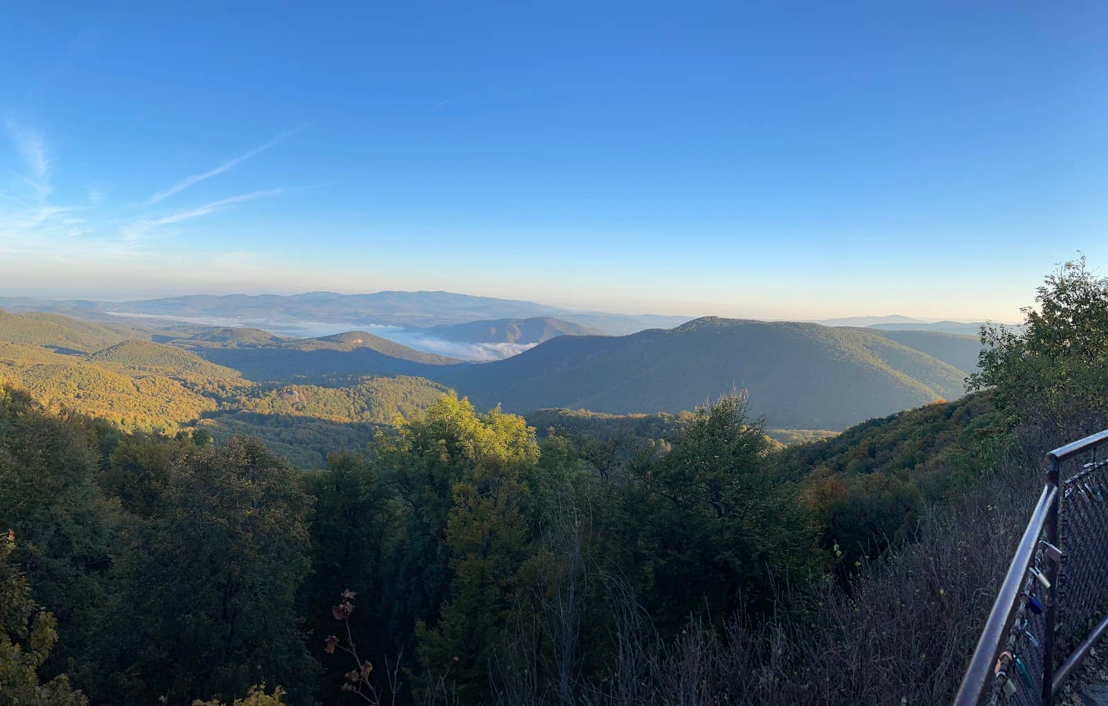 Forest Hiking Trails