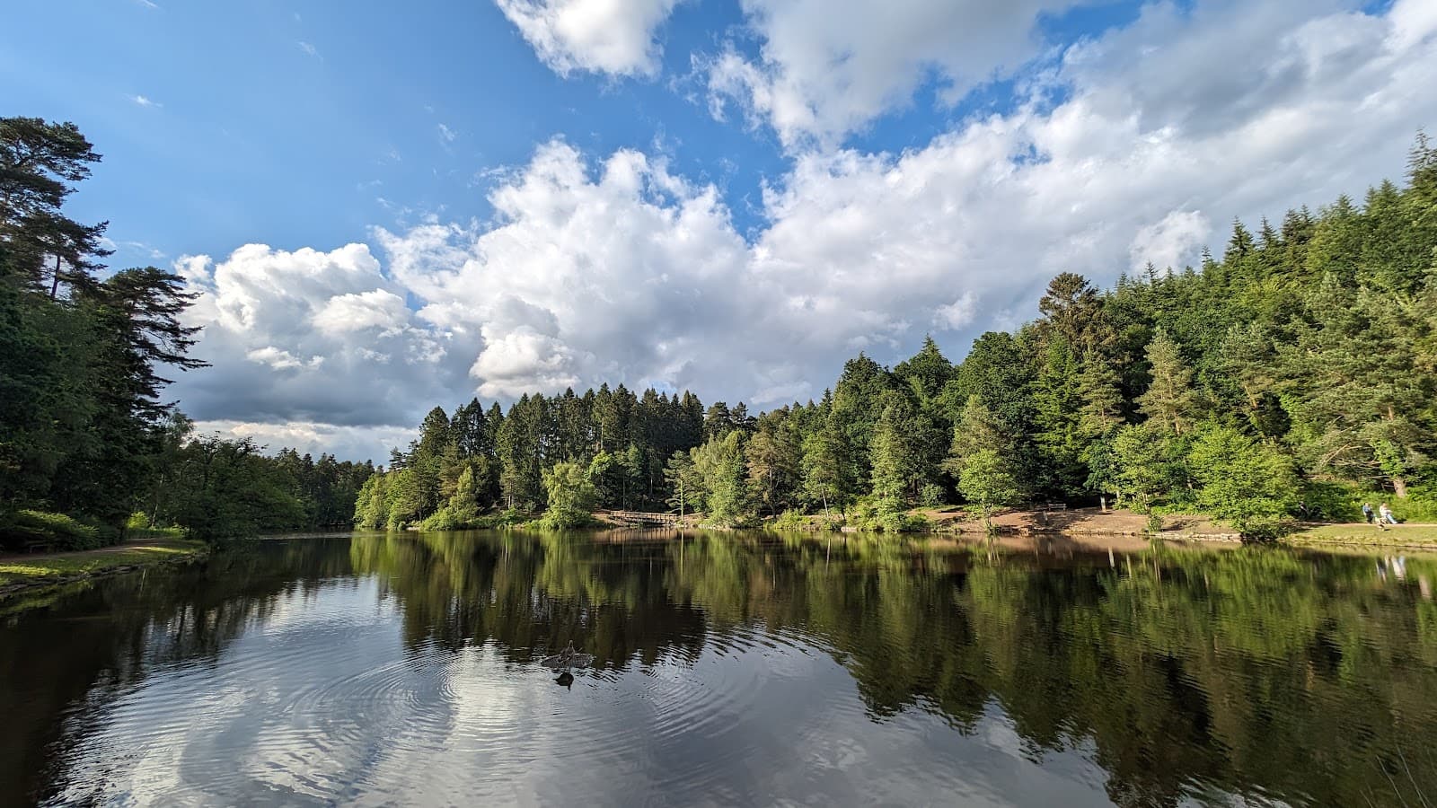 Mallards Pike Lake - Image 1