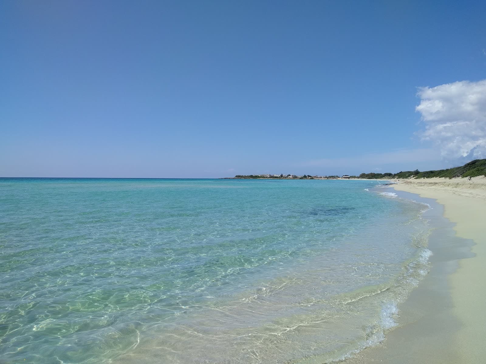 Palude del Conte e Duna Costiera - Image 1