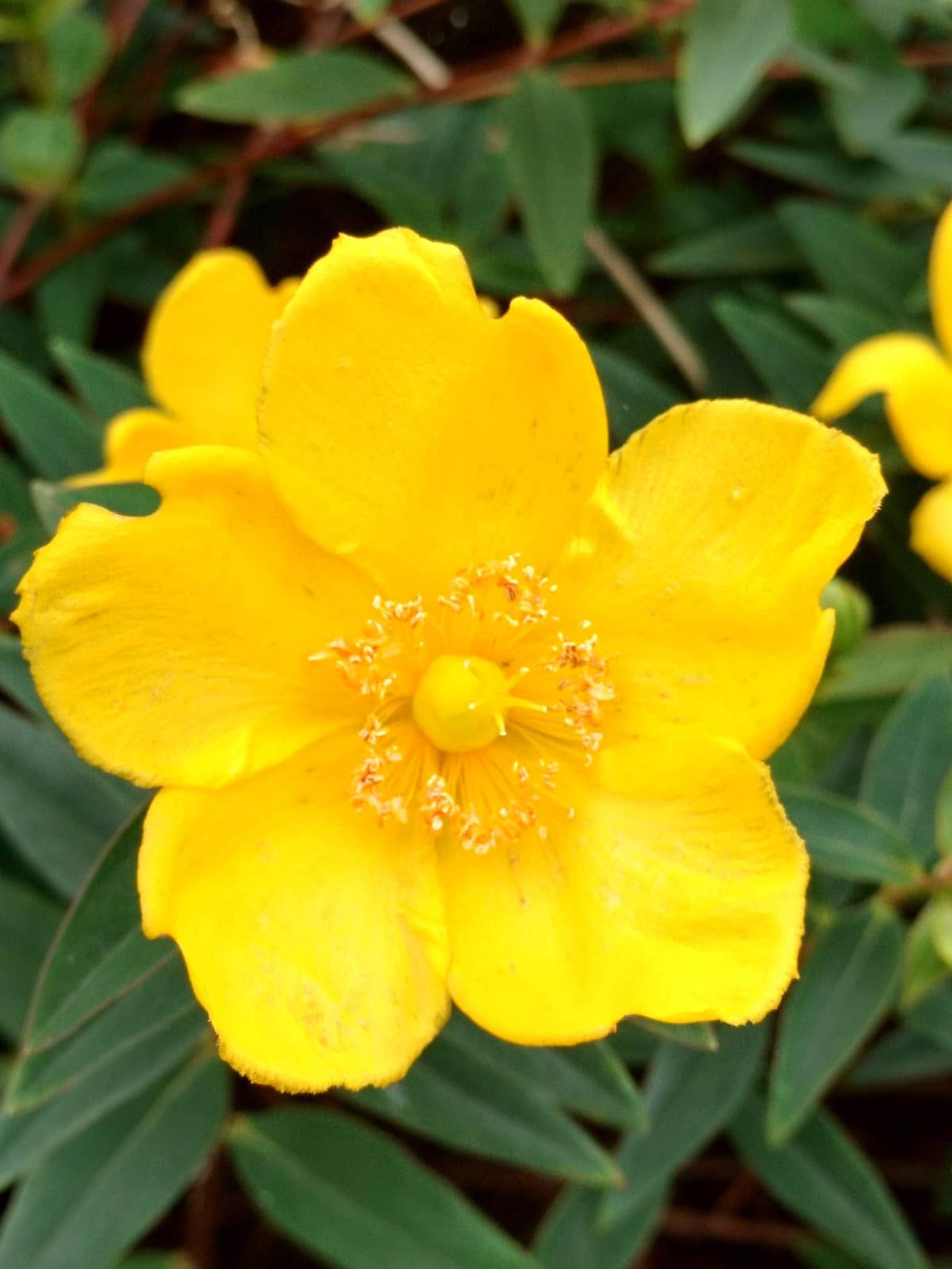 WW2 Anti-Invasion Lookout