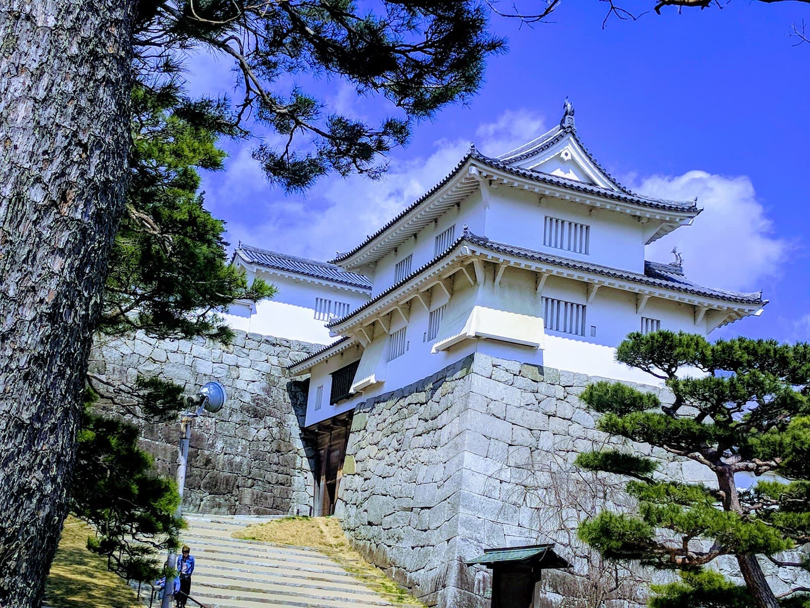Nihonmatsu Castle (Kasumigajo Park) - Image 1