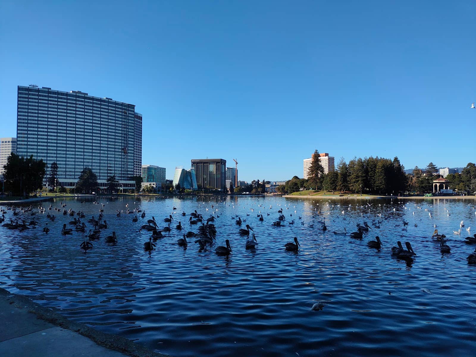 Bubble Planet Experience