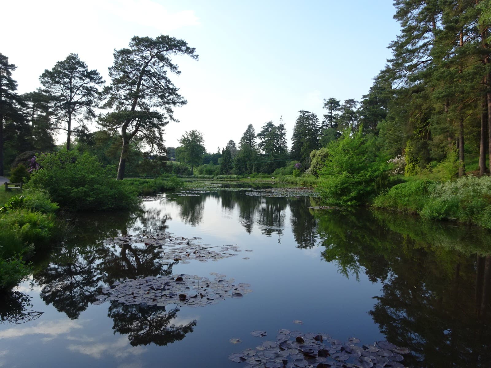 Bedgebury National Pinetum & Forest - Image 1