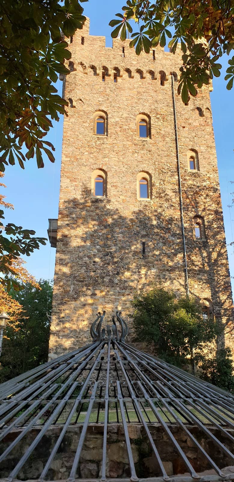 Vertical photo