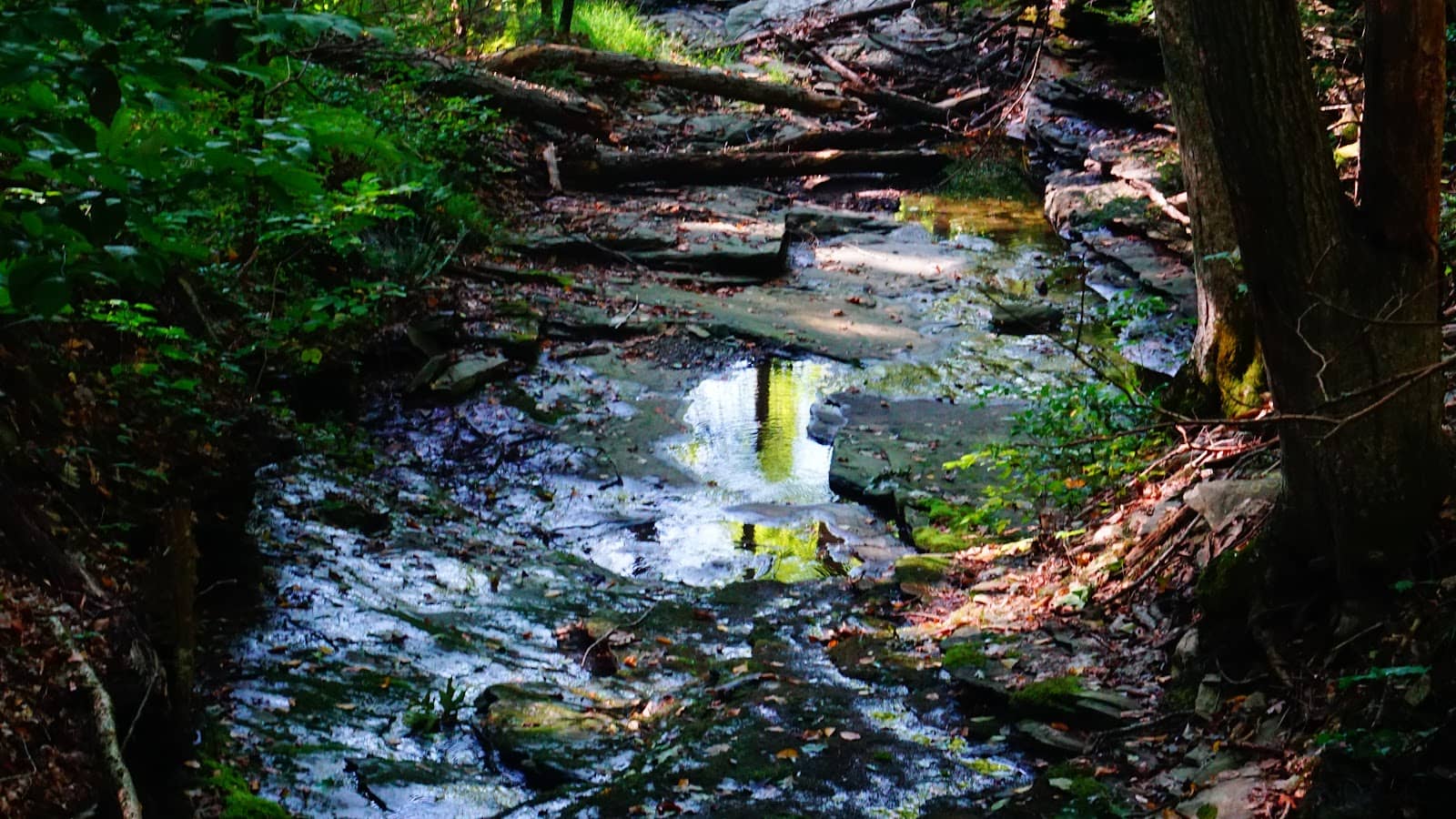 Water Elements