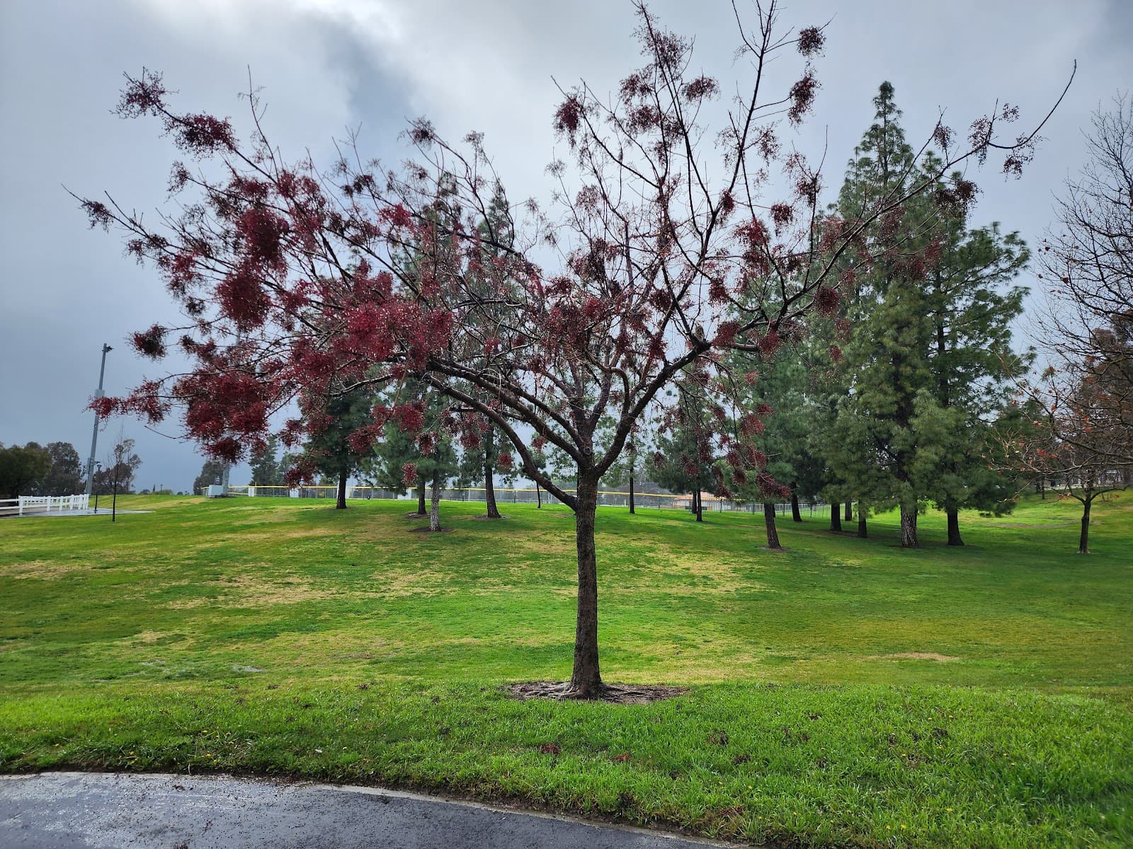 Heritage Park - Image 1