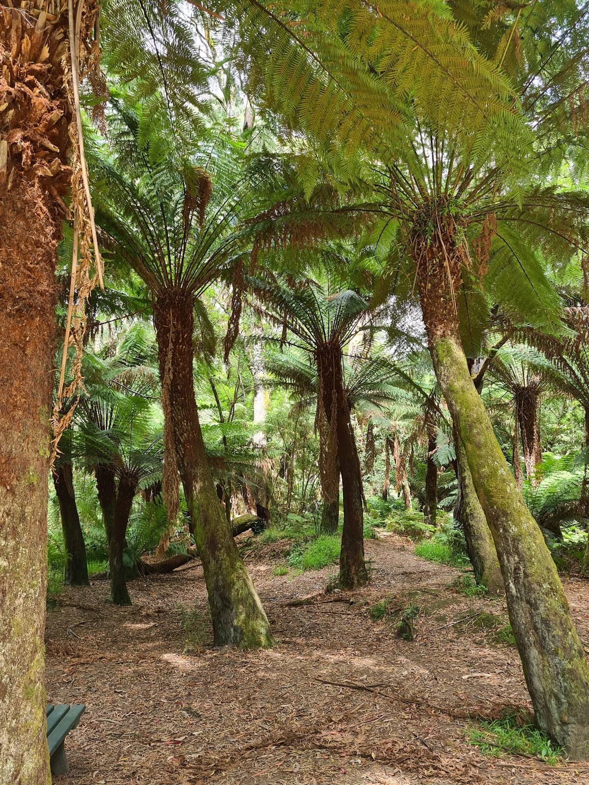 Bike Ride along the River