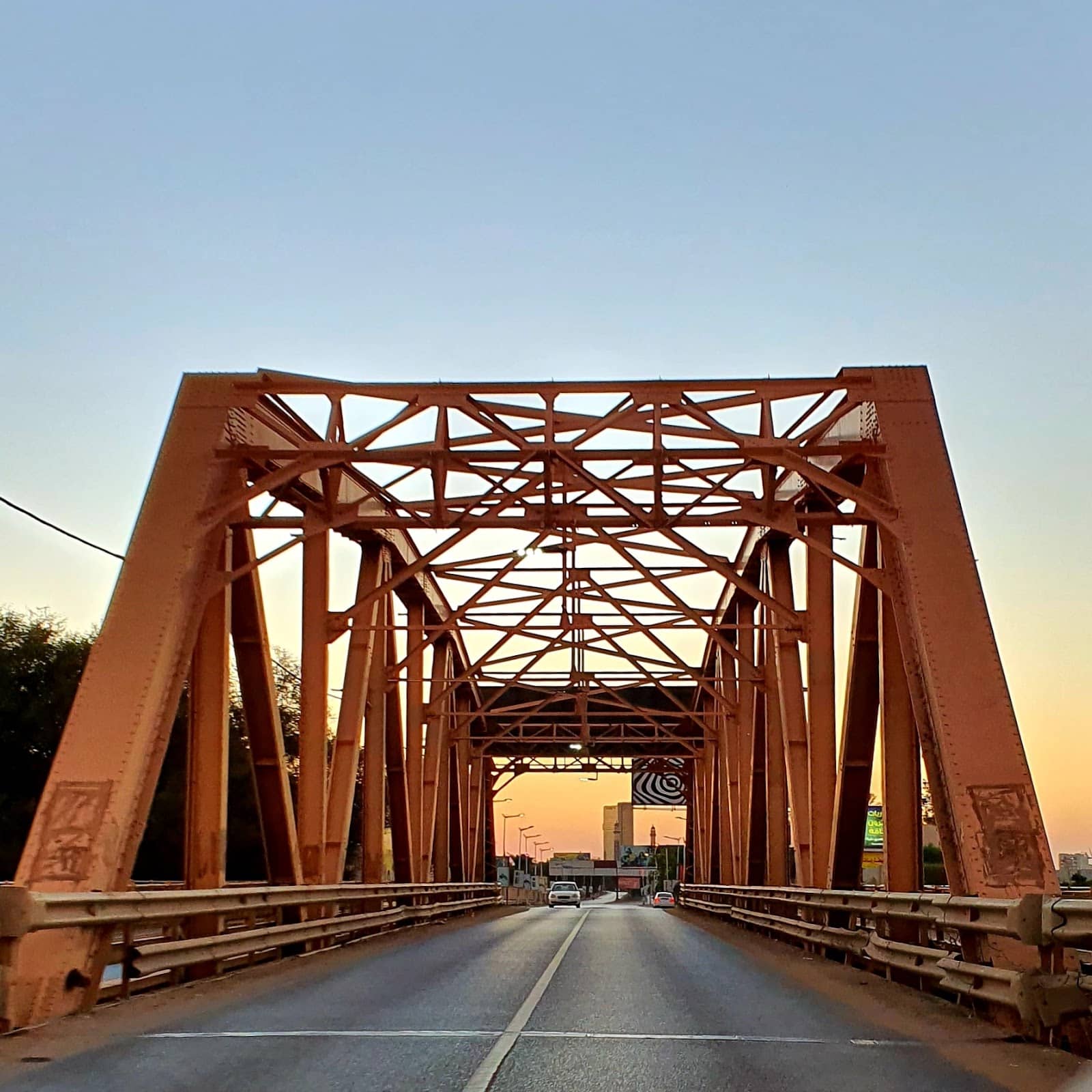 Cows Crossing the Nile