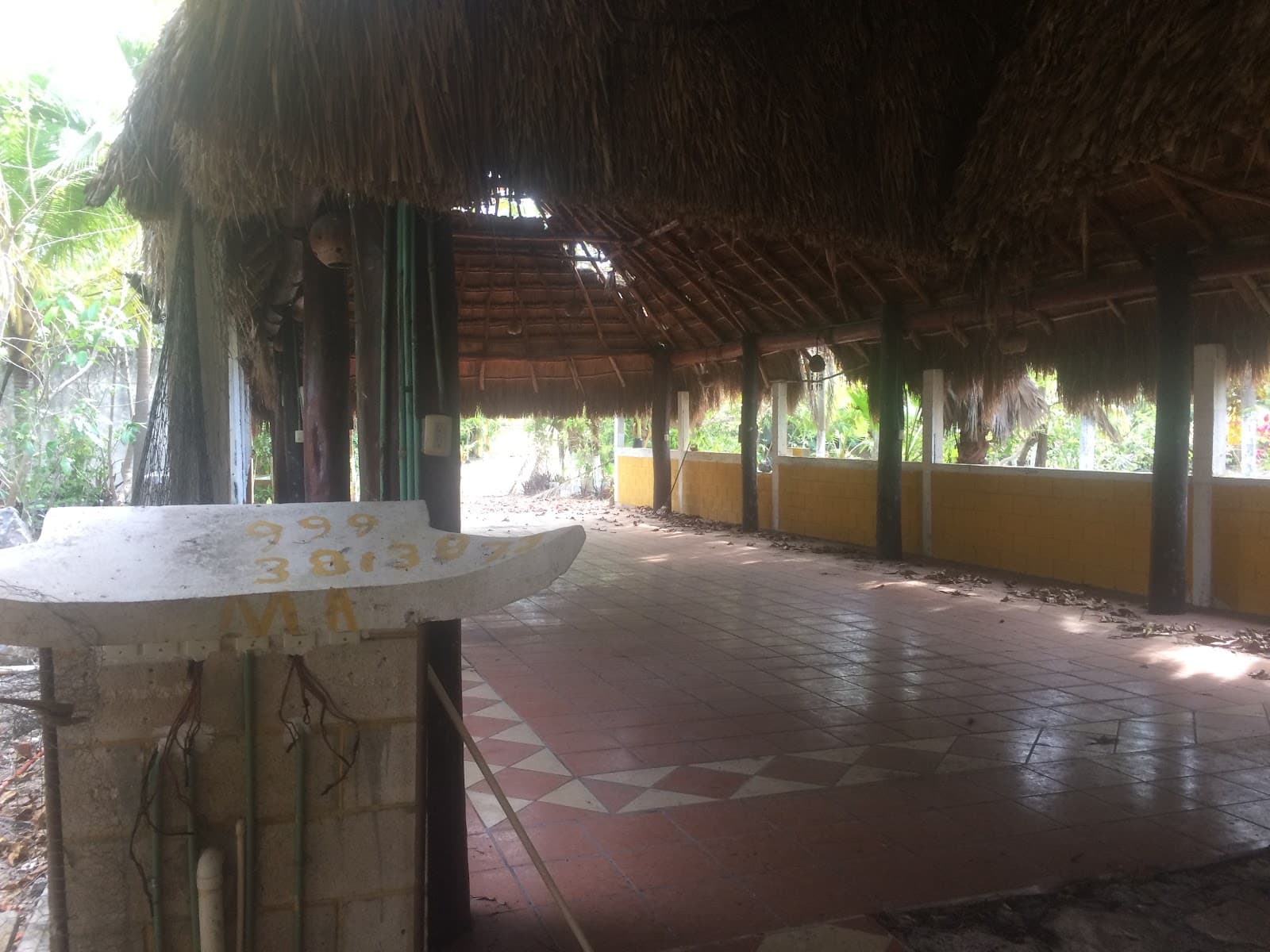 Cenote Xlacah - Image 1