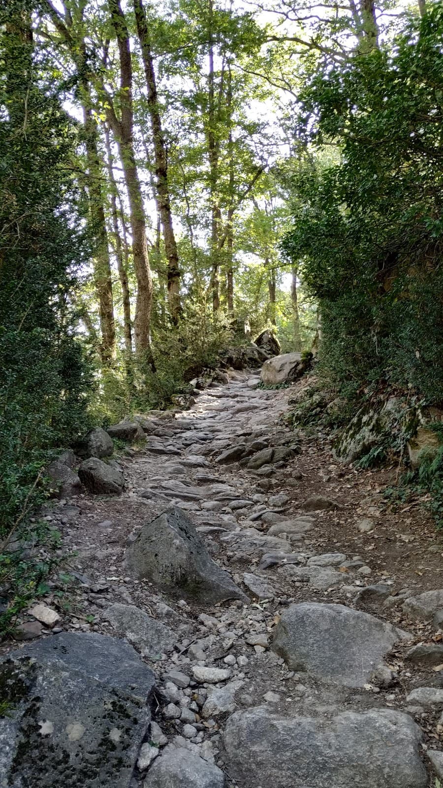 Rec de l'Obac Trail - Image 1