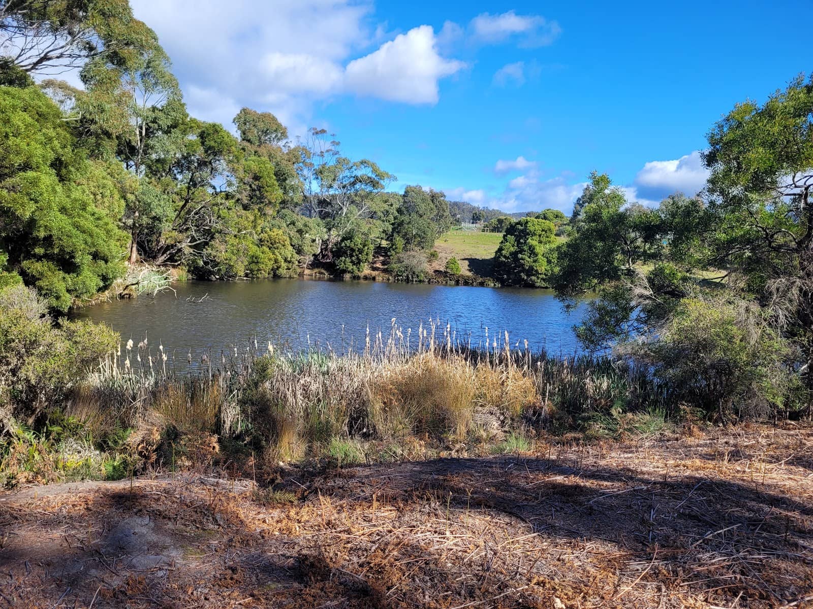 Family-Friendly Walks