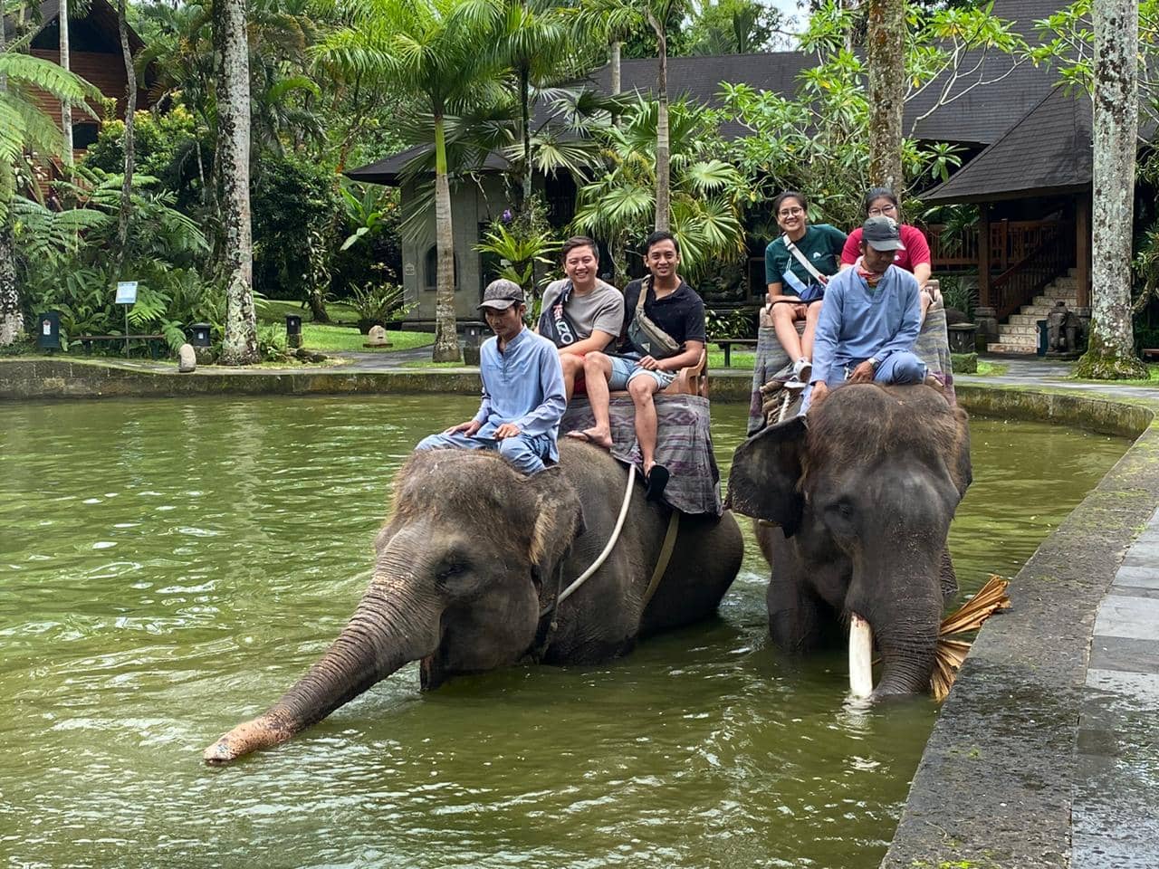 Breakfast with Elephants