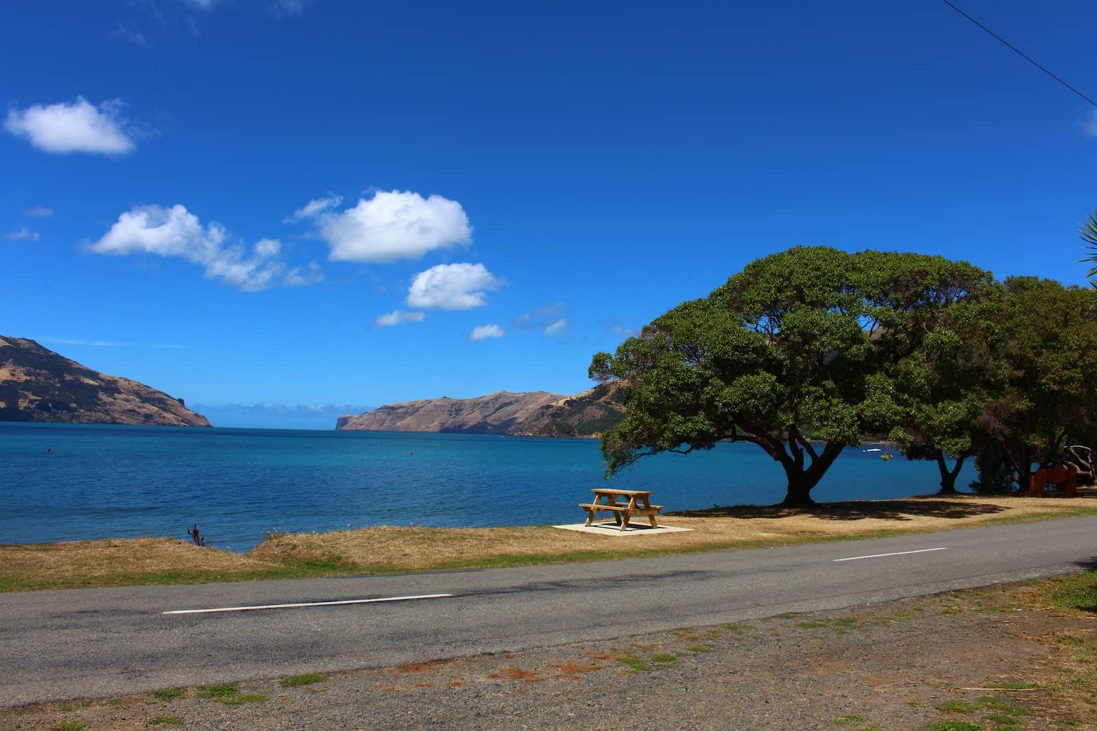 Rocky Shore Exploration