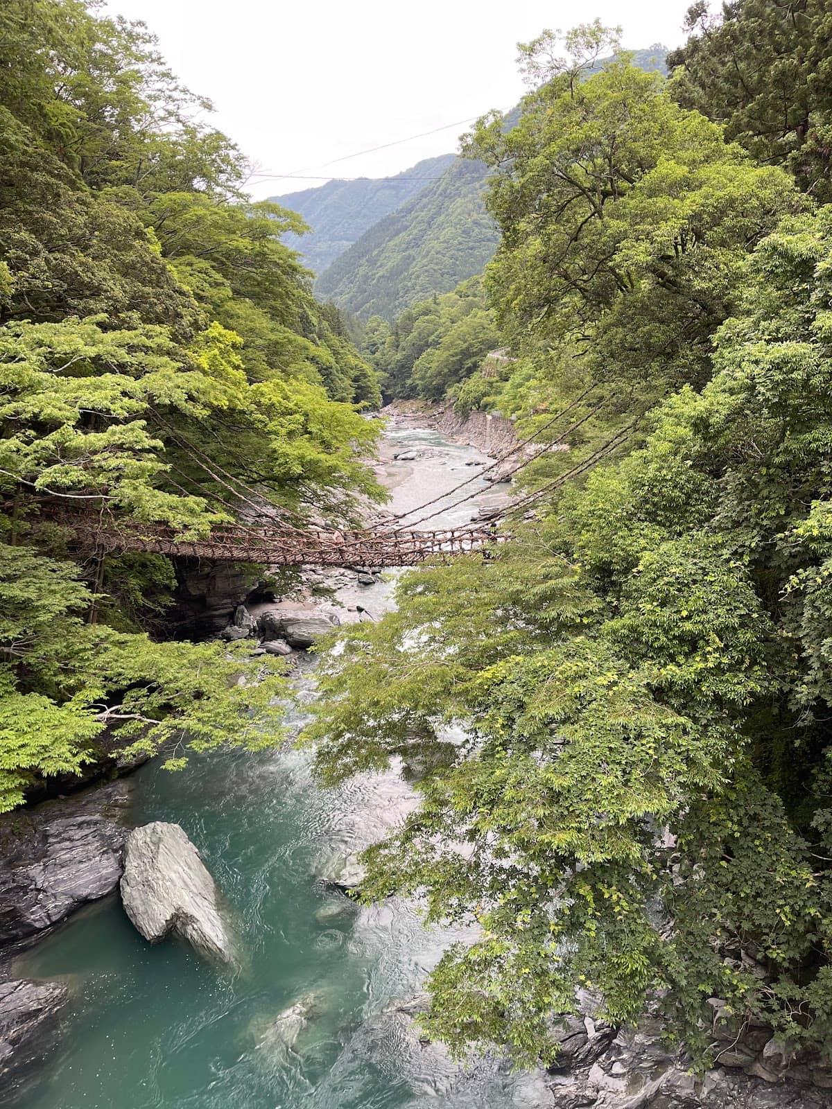 Proximity to Vine Bridge