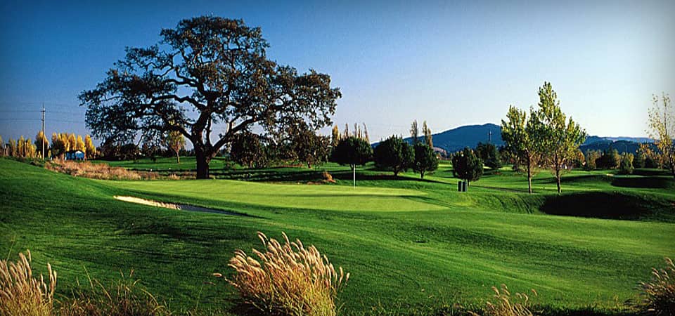 Well-Manicured Greens