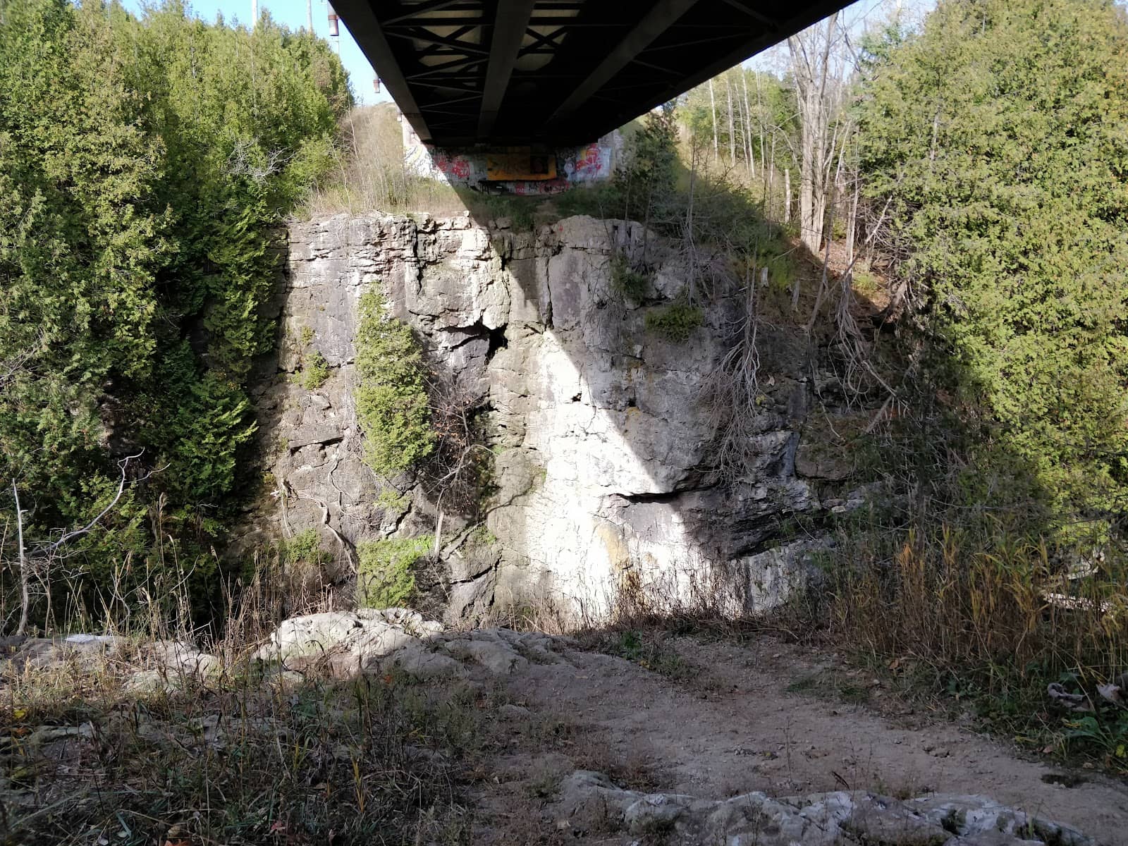 Vertical photo