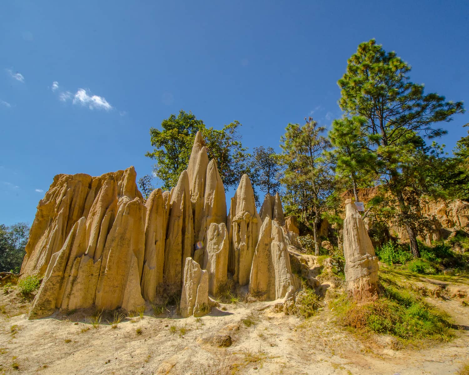 Vertical photo