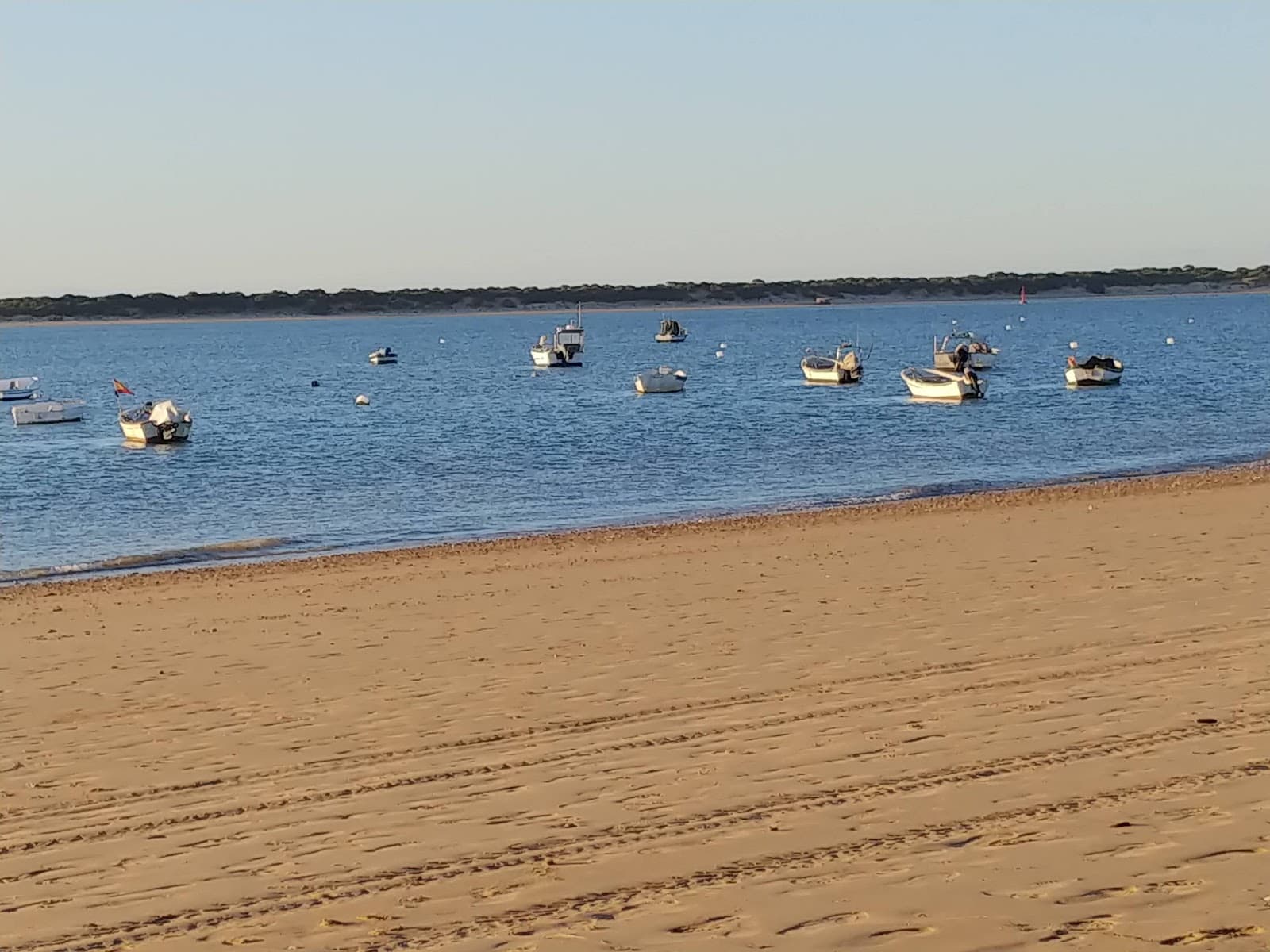 Playa de Las Piletas (Horse Races) - Image 1
