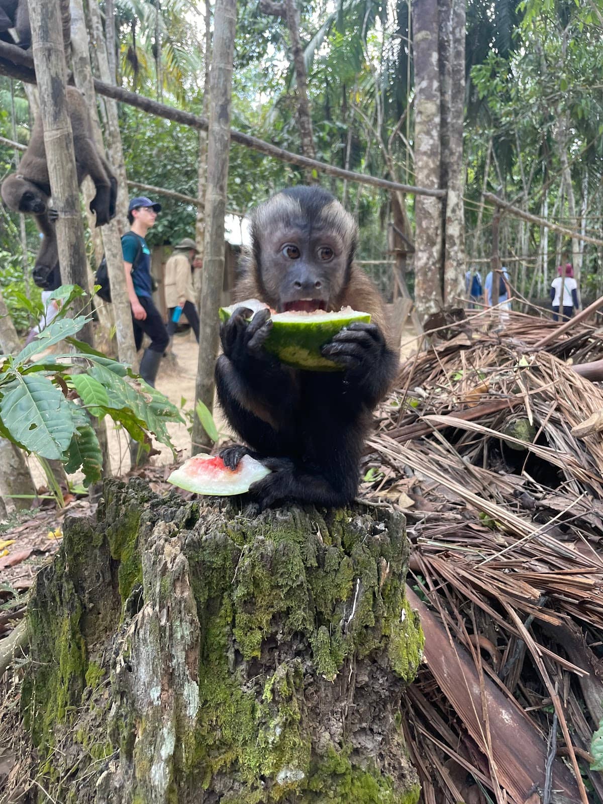 Mocagua Community Visit