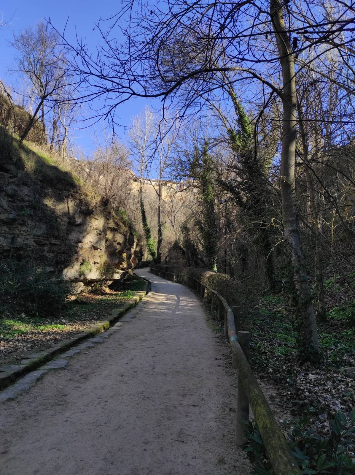 Vertical photo