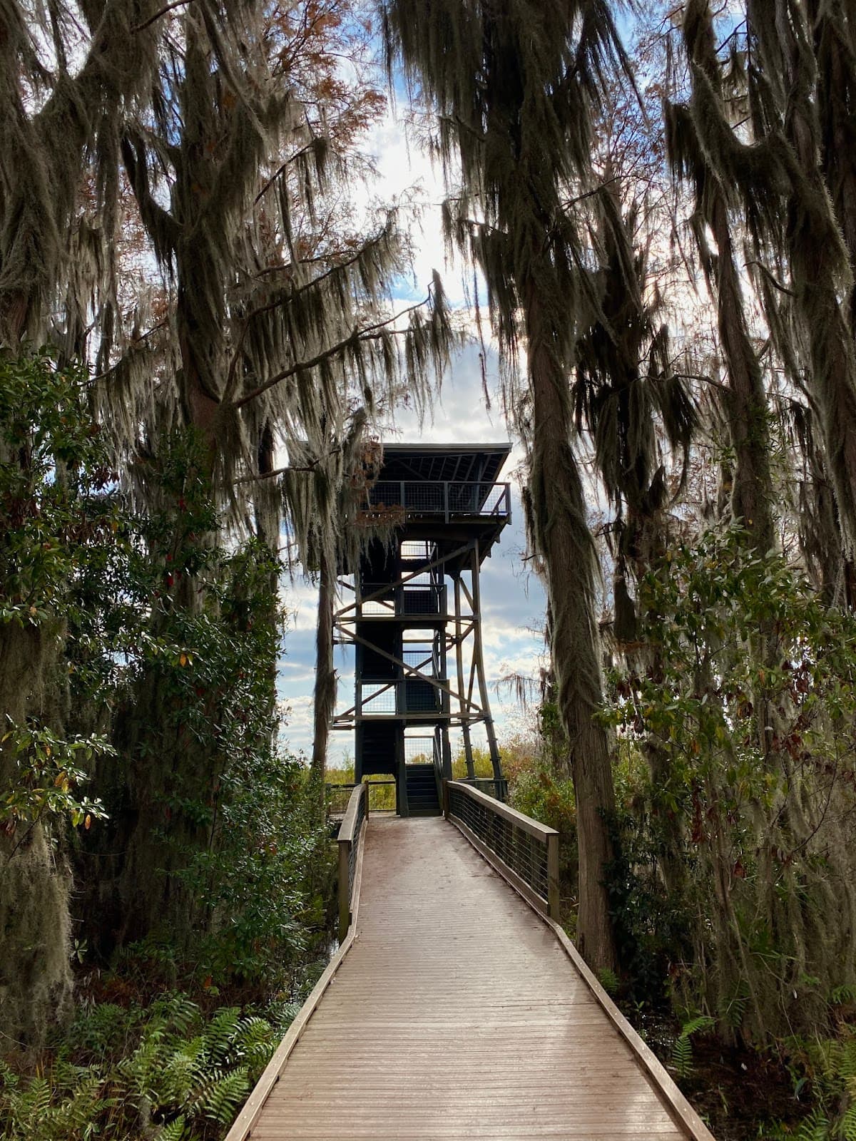 Chesser Island Homestead & Boardwalk - Image 1