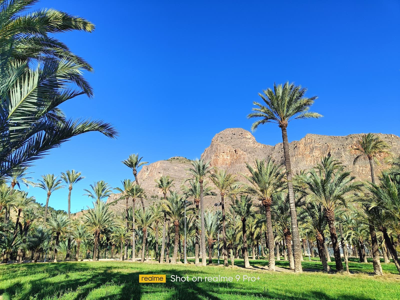 Palmeral Walking Trail - Image 1