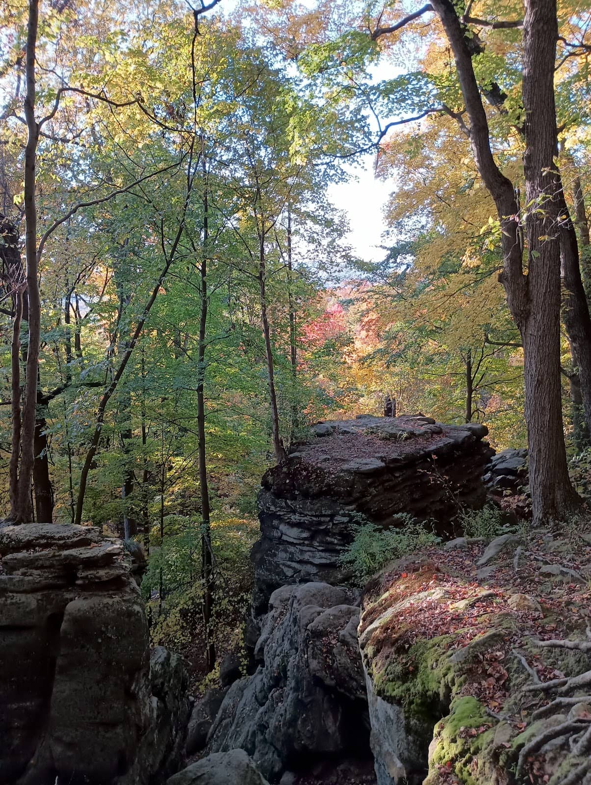 Hinckley Lake Loop