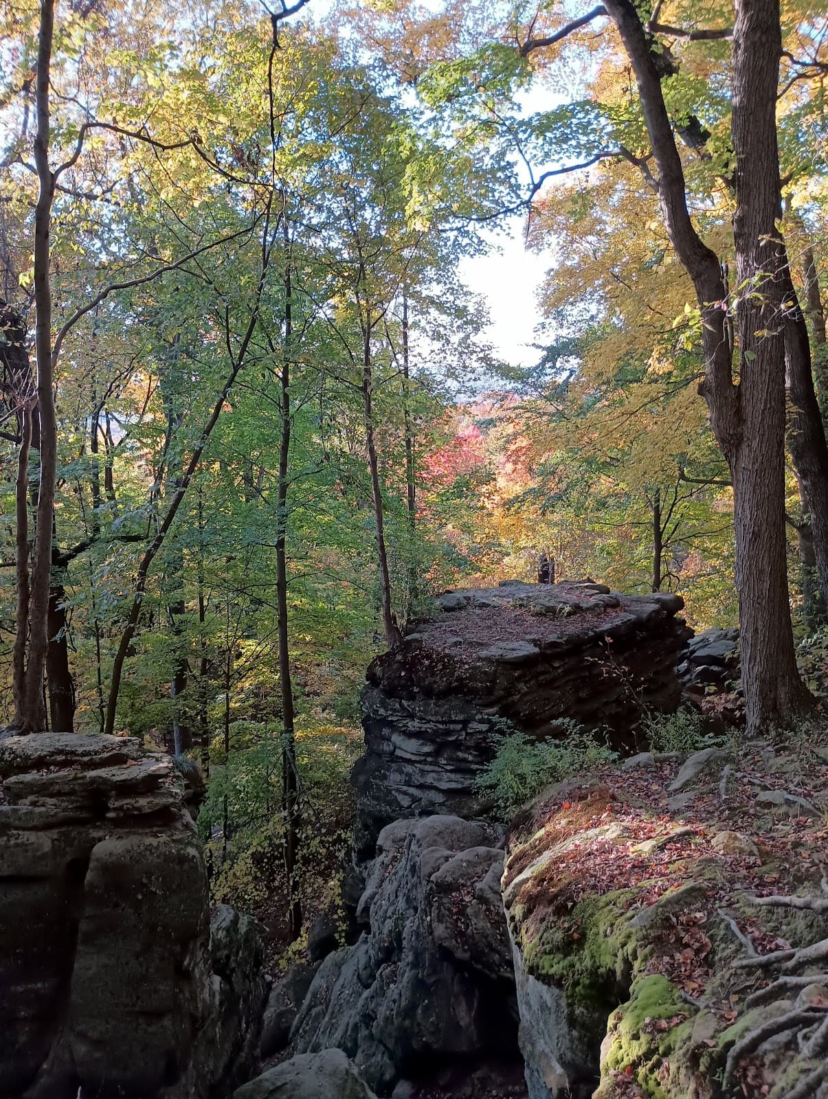 Hinckley Reservation - Image 1