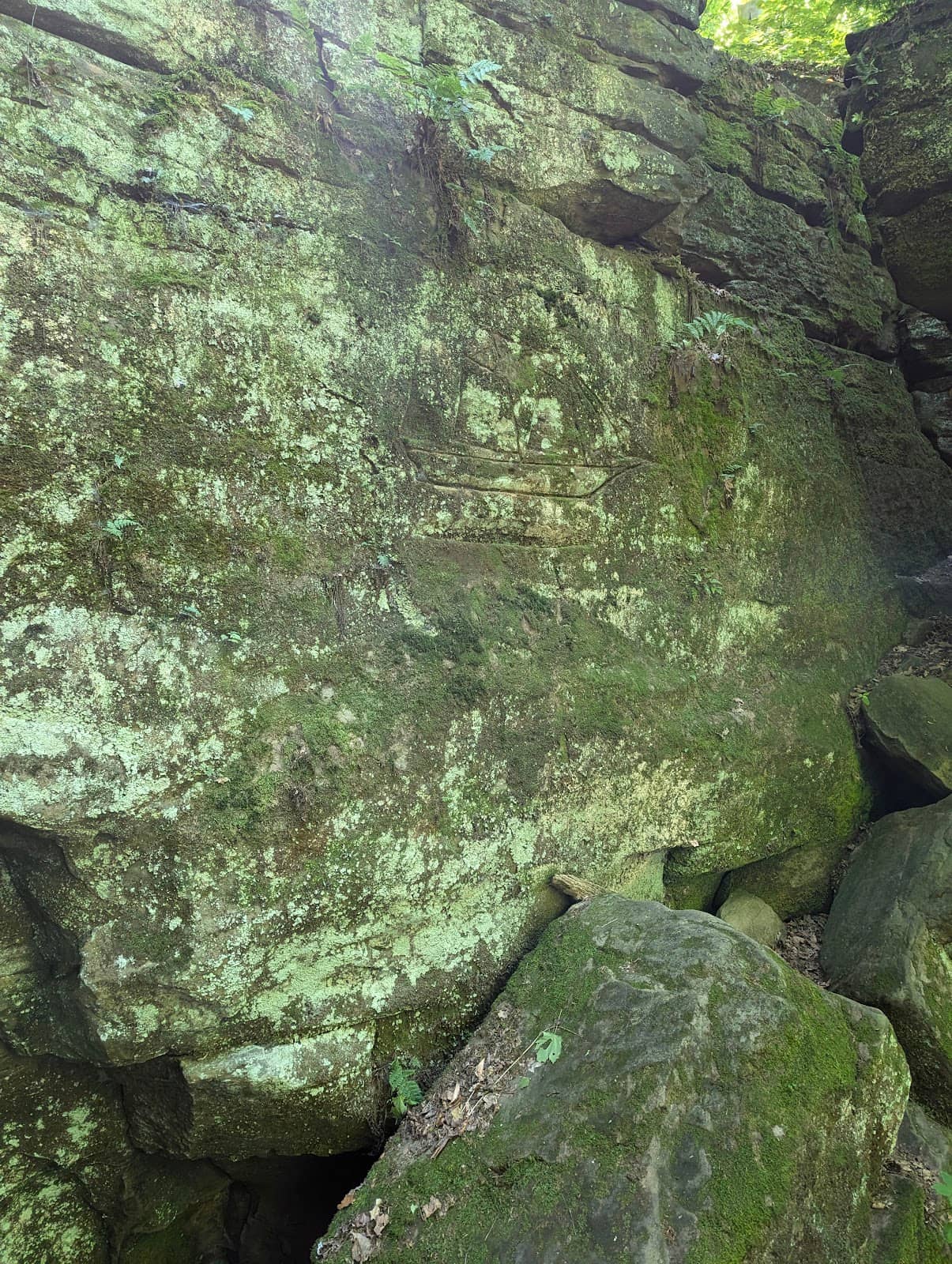 Vertical photo