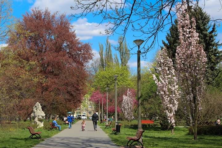 Avenue of Roses Krakow - Image 1