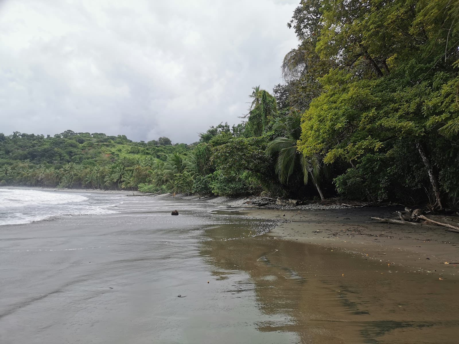 Playa Piñuelas - Image 1
