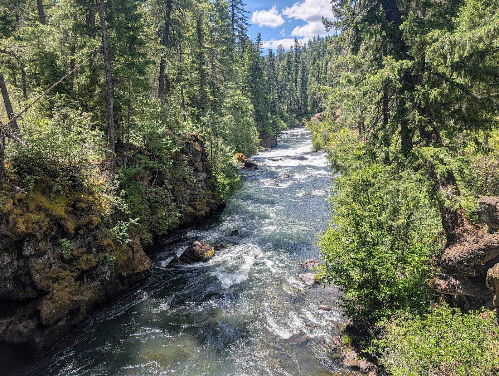 Rogue River Bridge - Image 1