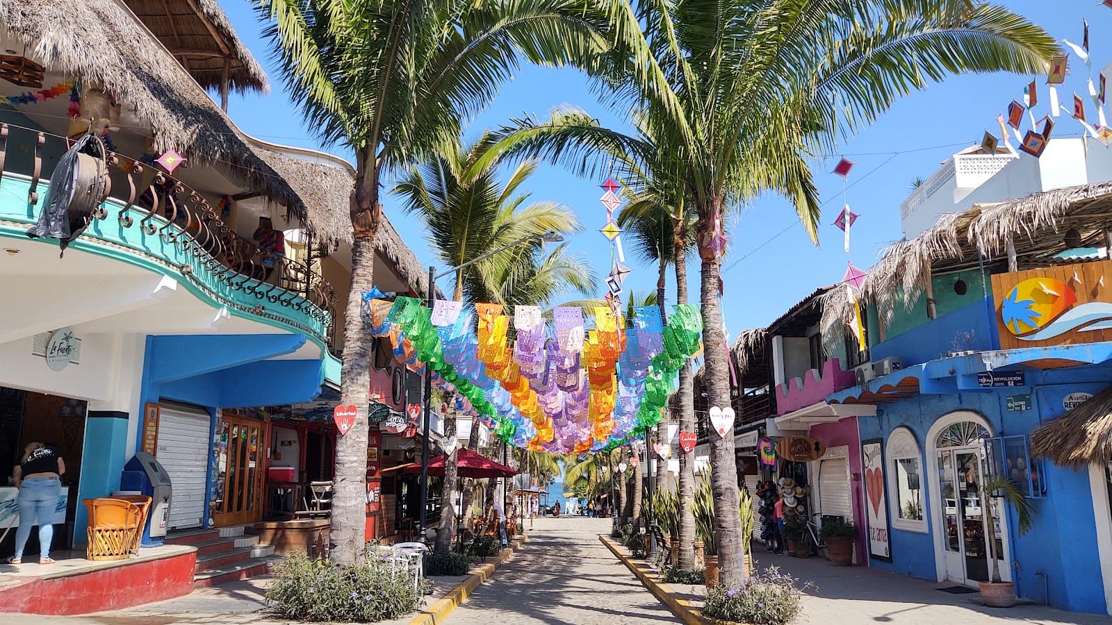 Sayulita River Estuary - Image 1