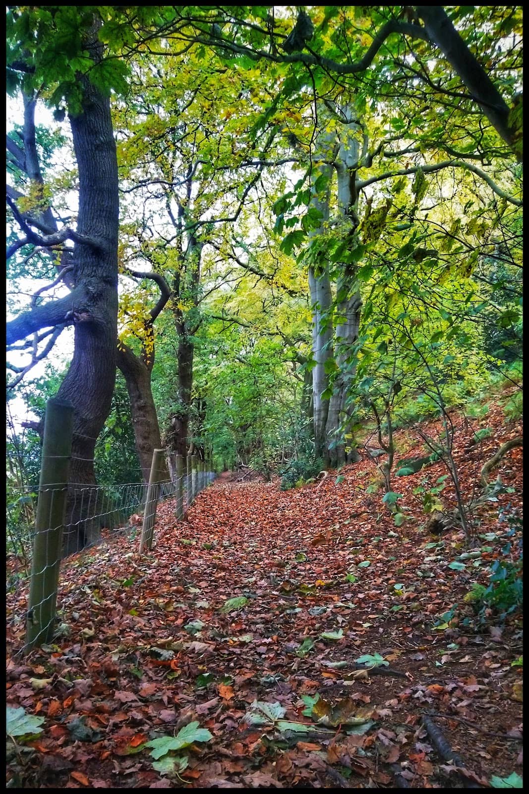 Vertical photo