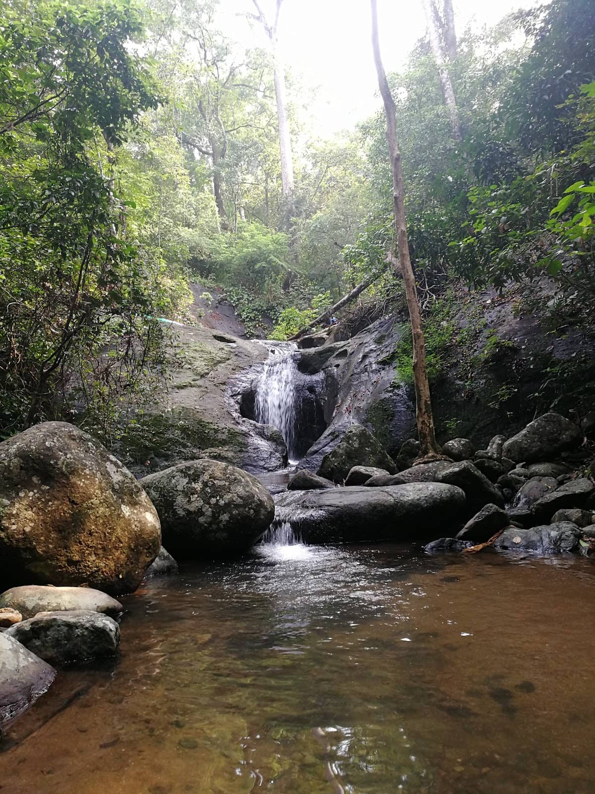 Serene Natural Pools