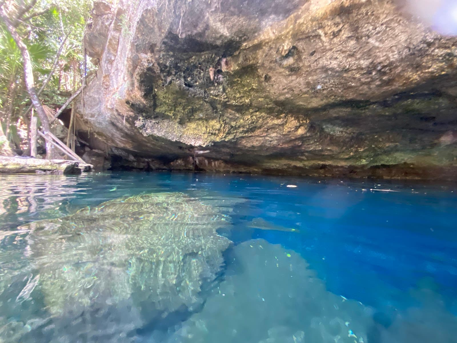 Cenote Chikin Ha - Image 1