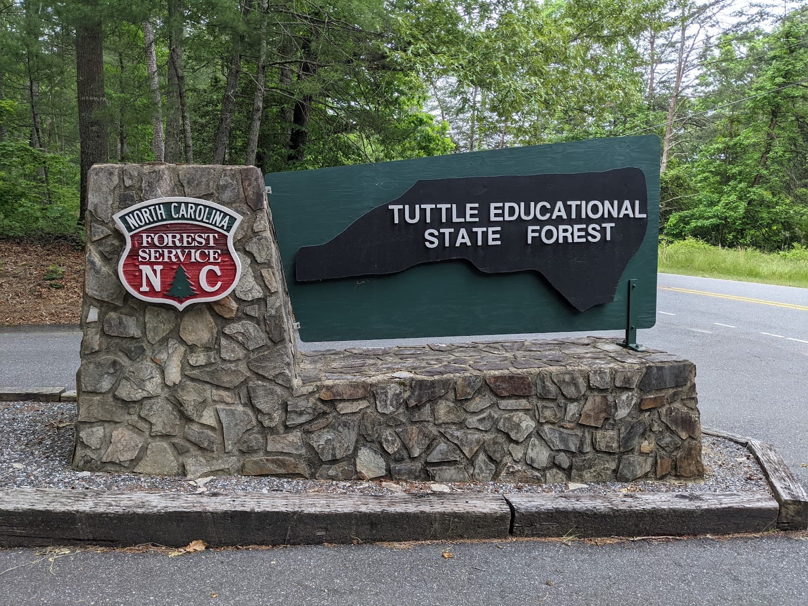 Tuttle Educational State Forest - Image 1