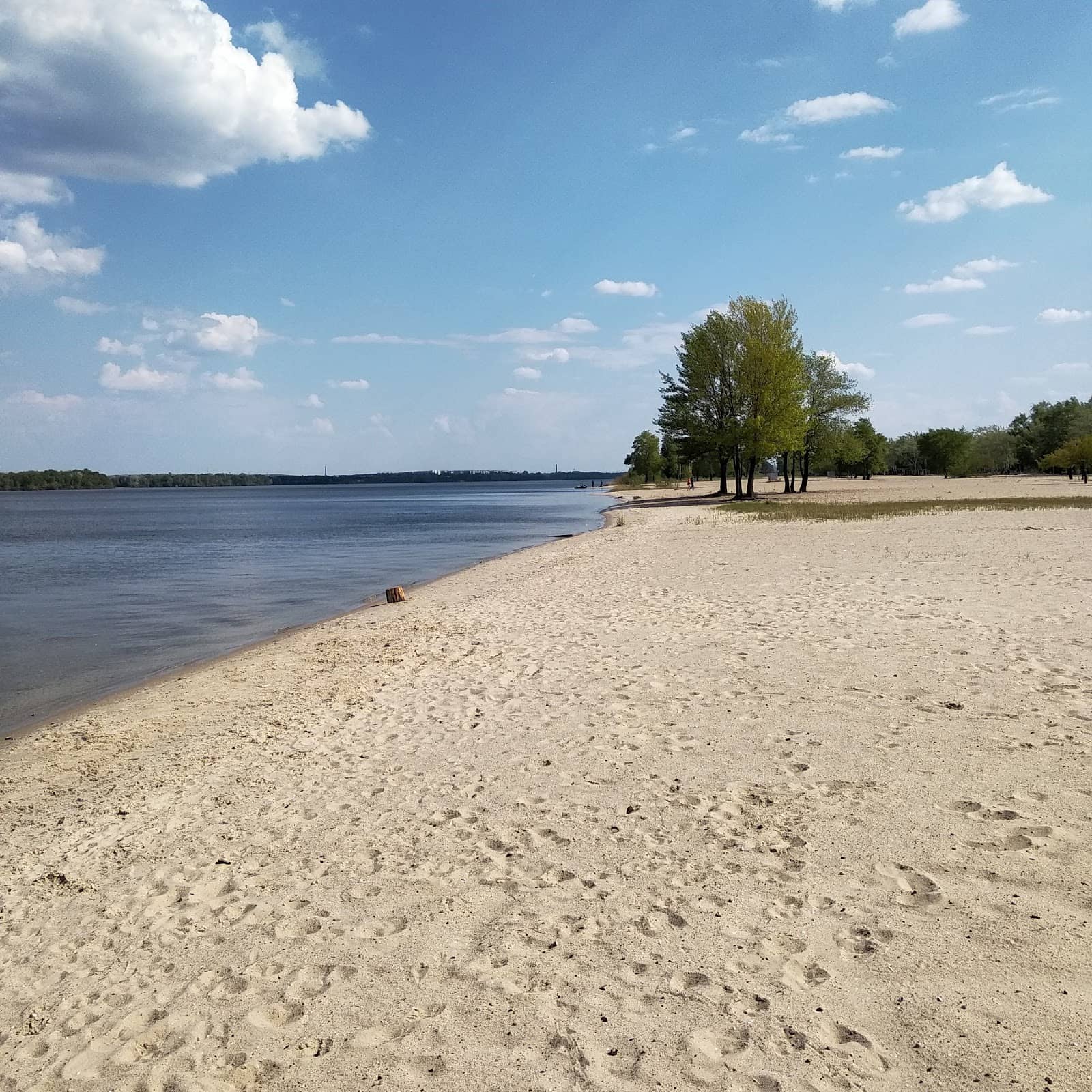 Shell Collecting