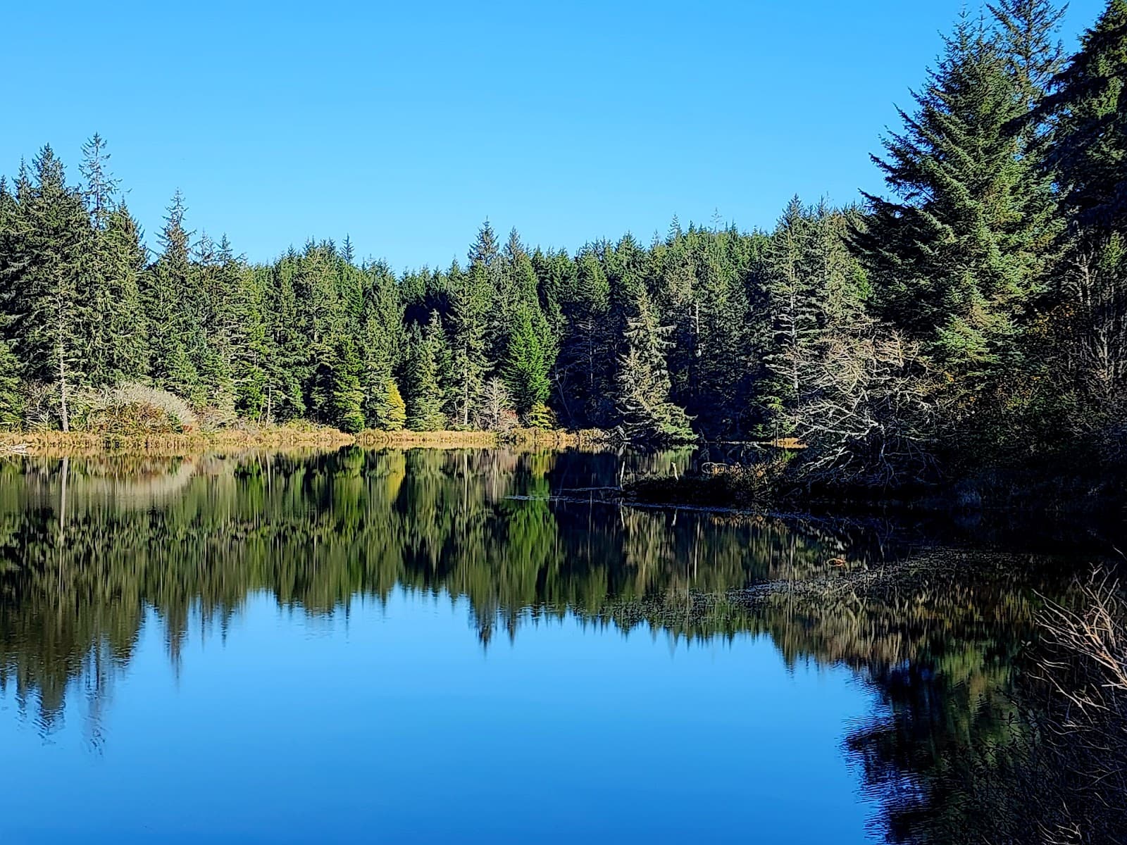 Black Lake & Trail - Image 1