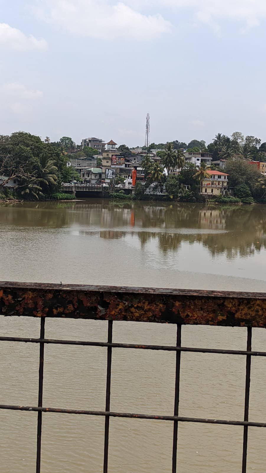 Vertical photo