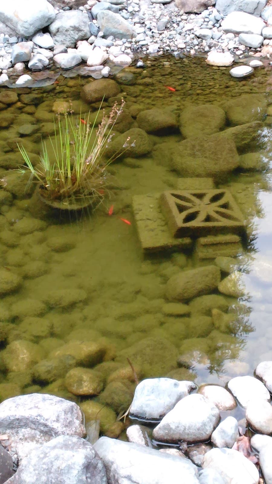 Quw'utsun' Cultural Centre - Image 1